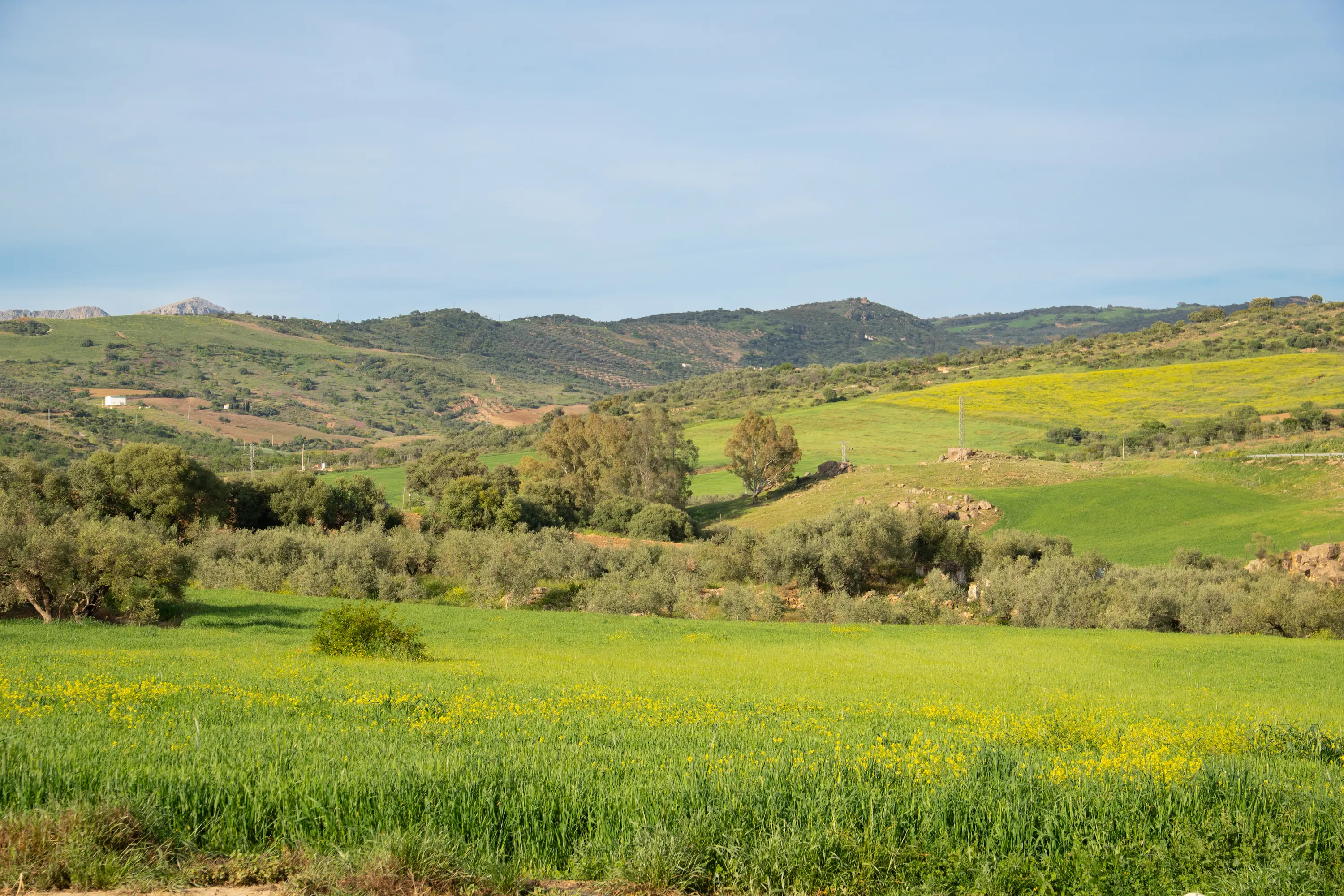 Vistas al campo
